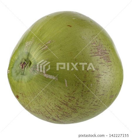 green coconut isolated on a white background green coconut isolated on a white background 142227155
