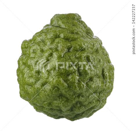 Fresh Green Kaffir Lime Fruits isolated on a white background 142227157