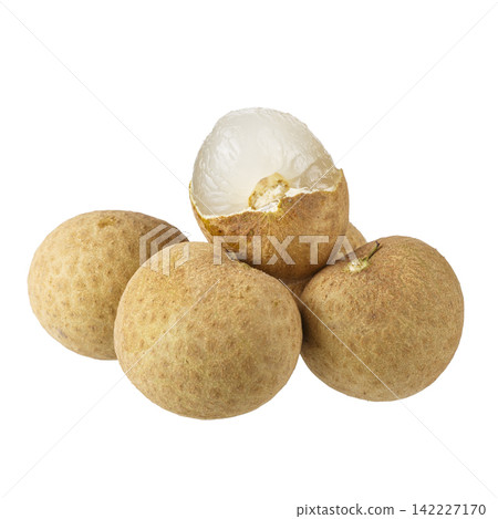 Fresh longan bunch displaying round brown shells isolated on a white background Fresh longan bunch displaying round brown shells isolated on a white background 142227170
