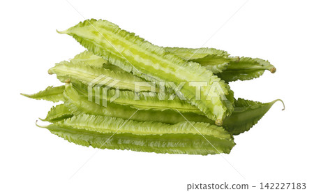 pile of winged beans, also known as cigarillas, manila or four-angled or goa beans, asparagus pea, tropical legume vegetable isolated on a white background pile of winged beans, also known as cigarillas, manila or four-angled or goa beans, asparagus pea, tropical legume vegetable isolated on a white background 142227183