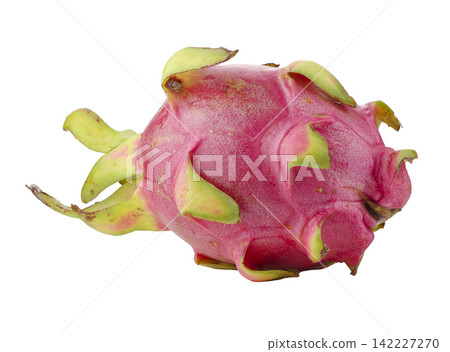 Fresh red dragon fruit whole isolated on a white background 142227270