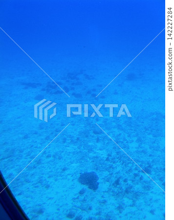 從潛水艇上看到的珊瑚礁 從潛水艇上看到的珊瑚礁 142227284