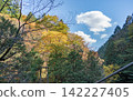 Nakatsugawa/Autumn Tsukechi Gorge 142227405
