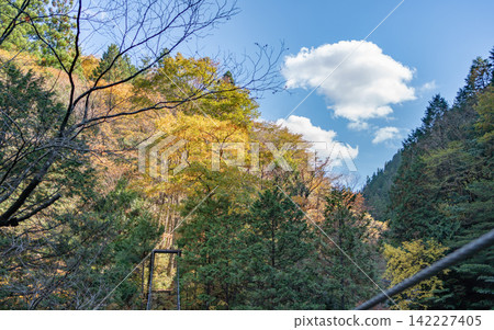 Nakatsugawa/Autumn Tsukechi Gorge 142227405