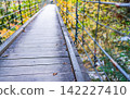 Nakatsugawa/Autumn Tsukechi Gorge 142227410