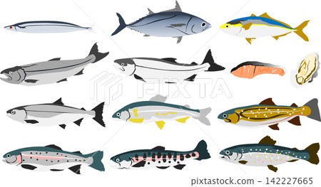 Fish illustration set Fish illustration set 142227665
