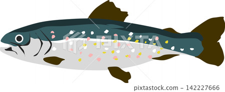 Illustration of a trout Illustration of a trout 142227666