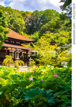 Hokaiji Temple: The blessings of Yakushi Nyorai, a deity revered by women, include safe childbirth, breastfeeding, and conception. Hokaiji Temple: The blessings of Yakushi Nyorai, a deity revered by women, include safe childbirth, breastfeeding, and conception. 142227829