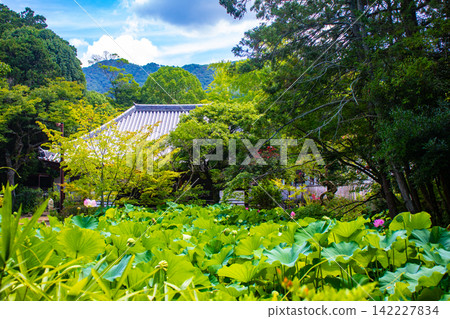 法海寺:藥師如來是女性崇拜的神靈,其祝福包括平安分娩、母乳哺育和受孕。 法海寺:藥師如來是女性崇拜的神靈,其祝福包括平安分娩、母乳哺育和受孕。 142227834