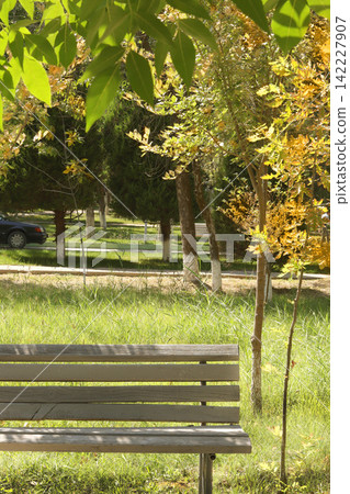 bench in the park bench in the park 142227907
