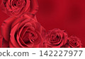 Red background and random red roses 142227977