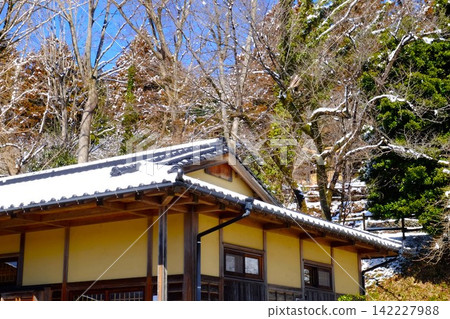 【神奈川縣】森林裡的樹木等待春天 【神奈川縣】森林裡的樹木等待春天 142227988