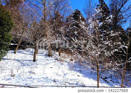 [Kanagawa Prefecture] Snow-covered slope 142227989