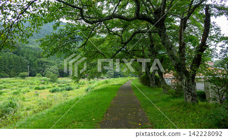 鹽原溫泉地區(栃木縣那須鹽原市)沿著北河有綠樹成蔭的步道、步道和吊橋。 鹽原溫泉地區(栃木縣那須鹽原市)沿著北河有綠樹成蔭的步道、步道和吊橋。 142228092