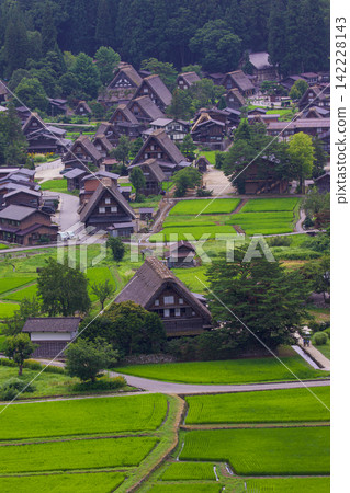 Shirakawa-go in Summer 2026 Shirakawa-go in Summer 2026 142228143