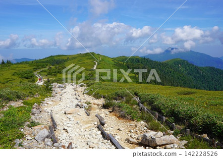 The hiking trail to Tarodaira and Kuwazakiyama The hiking trail to Tarodaira and Kuwazakiyama 142228526