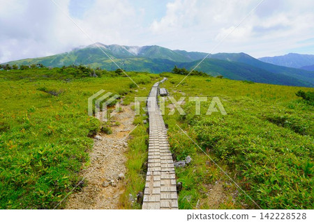Wooden boardwalk to Yakushidake Wooden boardwalk to Yakushidake 142228528