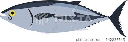 Illustration of bluefin tuna Illustration of bluefin tuna 142228545