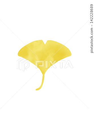 A cute watercolor-style illustration of a ginkgo tree. A cute watercolor-style illustration of a ginkgo tree. 142228689