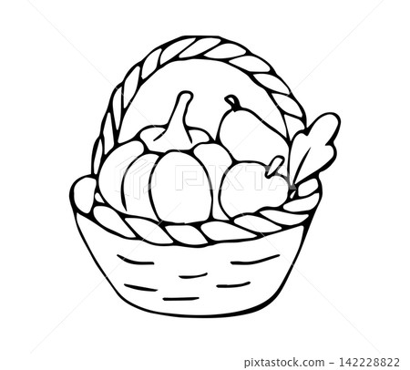 Hand Drawn Harvest Basket with Pumpkins and Pears Woven Rope Line Art Doodle Illustration for Autumn Design Hand Drawn Harvest Basket with Pumpkins and Pears Woven Rope Line Art Doodle Illustration for Autumn Design 142228822