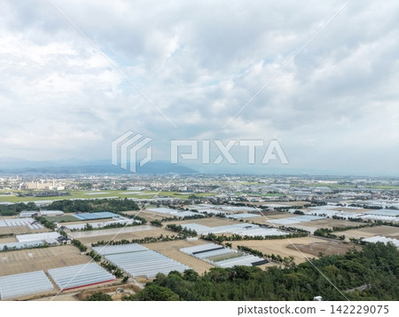 Kanazawa is a famous watermelon producing area. Kanazawa is a famous watermelon producing area. 142229075