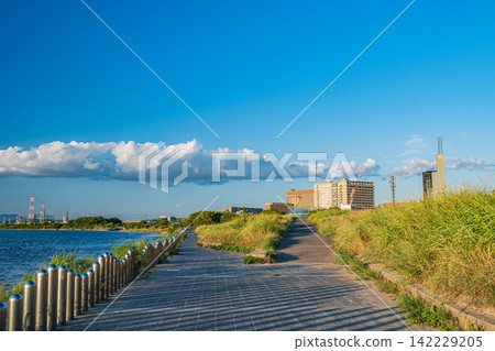 淀川沿岸的夏日景色:淀川公園,大阪府枚方市枚方地區 淀川沿岸的夏日景色:淀川公園,大阪府枚方市枚方地區 142229205