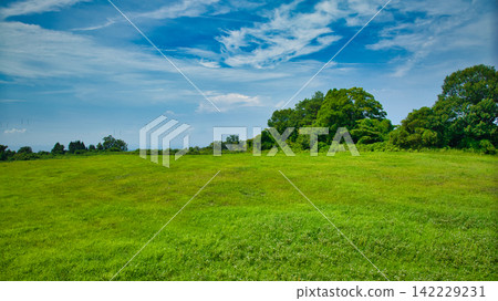A landscape of pasture grass growing in the hilly areas of Kurobe City in late August. A landscape of pasture grass growing in the hilly areas of Kurobe City in late August. 142229231
