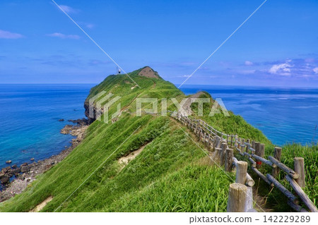 Cape Kamui in summer (Shakotan Town, Hokkaido) Cape Kamui in summer (Shakotan Town, Hokkaido) 142229289