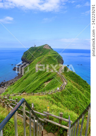 Cape Kamui in summer (Shakotan Town, Hokkaido) Cape Kamui in summer (Shakotan Town, Hokkaido) 142229291