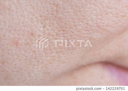 Facial Skin Closeup With Visible Fine Lines Pores And Textured Surface On Cheek Near Nasolabial Facial Skin Closeup With Visible Fine Lines Pores And Textured Surface On Cheek Near Nasolabial 142229701
