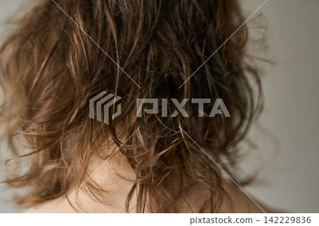 Back Of Woman Head With Wet Messy Brown Hair In Closeup Indoor Portrait With Neutral Background Back Of Woman Head With Wet Messy Brown Hair In Closeup Indoor Portrait With Neutral Background 142229836