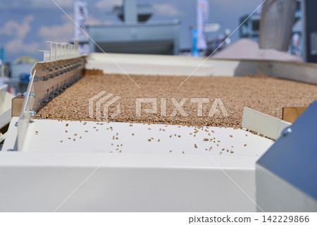 Grain Bed Spreading Across Industrial Sorting Machine In Outdoor Agricultural Facility Grain Bed Spreading Across Industrial Sorting Machine In Outdoor Agricultural Facility 142229866