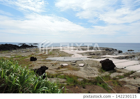 能登地震導致海藻床隆起 能登地震導致海藻床隆起 142230115