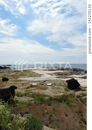 能登地震導致海藻床隆起 能登地震導致海藻床隆起 142230116