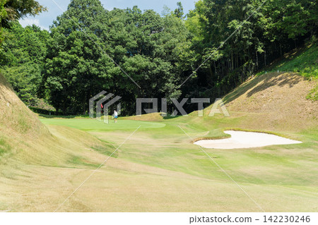 People playing golf, golf course People playing golf, golf course 142230246