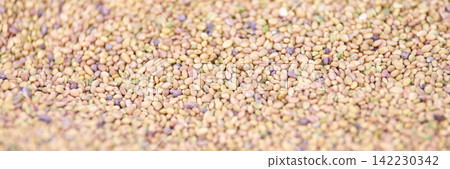 Mixed Small Seeds Scattered Across Flat Surface With Pastel Tones And Shallow Focus Creating Mixed Small Seeds Scattered Across Flat Surface With Pastel Tones And Shallow Focus Creating 142230342