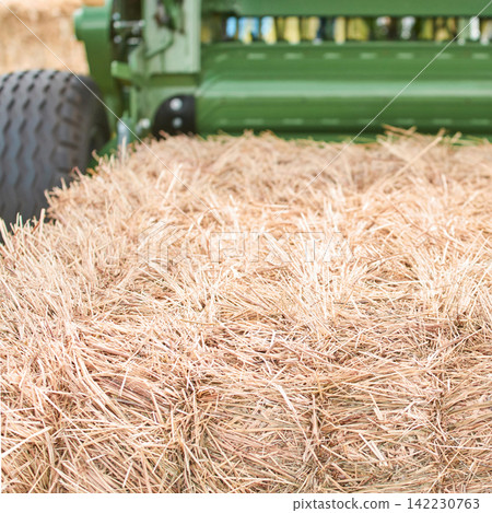 Beige Straw Bale Lying On Ground Near Green Baler Machine In Agricultural Field Close Up Shallow Beige Straw Bale Lying On Ground Near Green Baler Machine In Agricultural Field Close Up Shallow 142230763