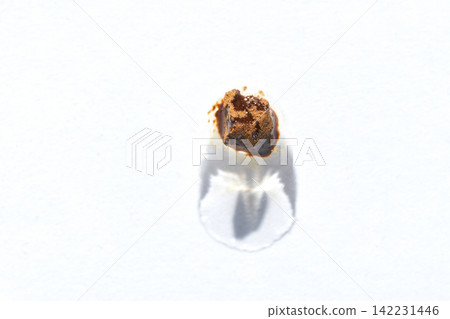 Instant Coffee Granule Melting Into Small Brown Liquid Droplet On White Paper With Circular Stain Instant Coffee Granule Melting Into Small Brown Liquid Droplet On White Paper With Circular Stain 142231446