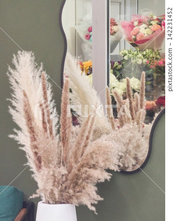 Pampas Grass Arrangement In White Vase Reflected In Mirror Floral Shop Window Bouquets And Soft Pampas Grass Arrangement In White Vase Reflected In Mirror Floral Shop Window Bouquets And Soft 142231452