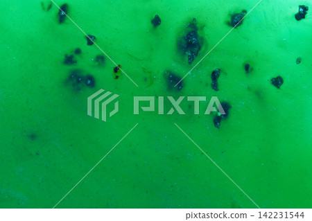 Translucent Green Surface Dotted With Dark Bluish Flecks And Smudges In Macro Studio Closeup 142231544