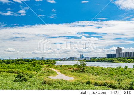 大阪府高槻市和枚方市淀川沿岸的夏日景色。 大阪府高槻市和枚方市淀川沿岸的夏日景色。 142231818