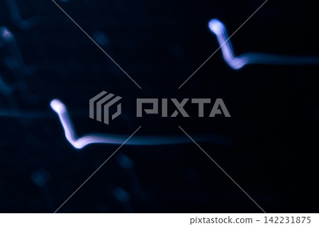 Blue Neon Light Squiggles Moving In Curved Motion On Dark Navy Background With Scattered Faint Blue Neon Light Squiggles Moving In Curved Motion On Dark Navy Background With Scattered Faint 142231875