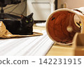 Black cat  142231915