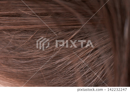 Brown Hair Strands Displaying Fine Texture And Natural Detail In Close Up Macro View Of Scalp Area Brown Hair Strands Displaying Fine Texture And Natural Detail In Close Up Macro View Of Scalp Area 142232247