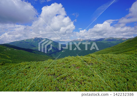 從北野又山眺望藥師山、赤牛山、水翔山 從北野又山眺望藥師山、赤牛山、水翔山 142232386
