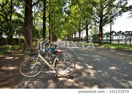 公園裡樹叢間停放著腳踏車。 公園裡樹叢間停放著腳踏車。 142233079