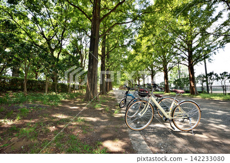 公園裡樹叢間停放著腳踏車。 公園裡樹叢間停放著腳踏車。 142233080