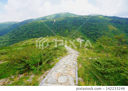 從織立登山道看到的太郎山。 從織立登山道看到的太郎山。 142233246