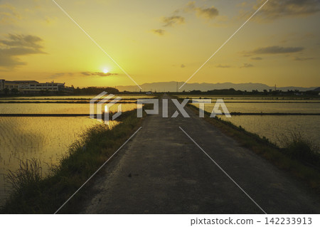 初夏時節,夕陽西下,日本鄉村稻田和山脈倒映在天空中,構成了一幅美麗的鄉村景色。 初夏時節,夕陽西下,日本鄉村稻田和山脈倒映在天空中,構成了一幅美麗的鄉村景色。 142233913