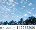 Autumn blue sky, white clouds and trees 142233980